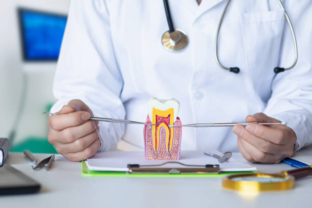 Best Tooth Infection Emergency Dentist  in Vivian, LA